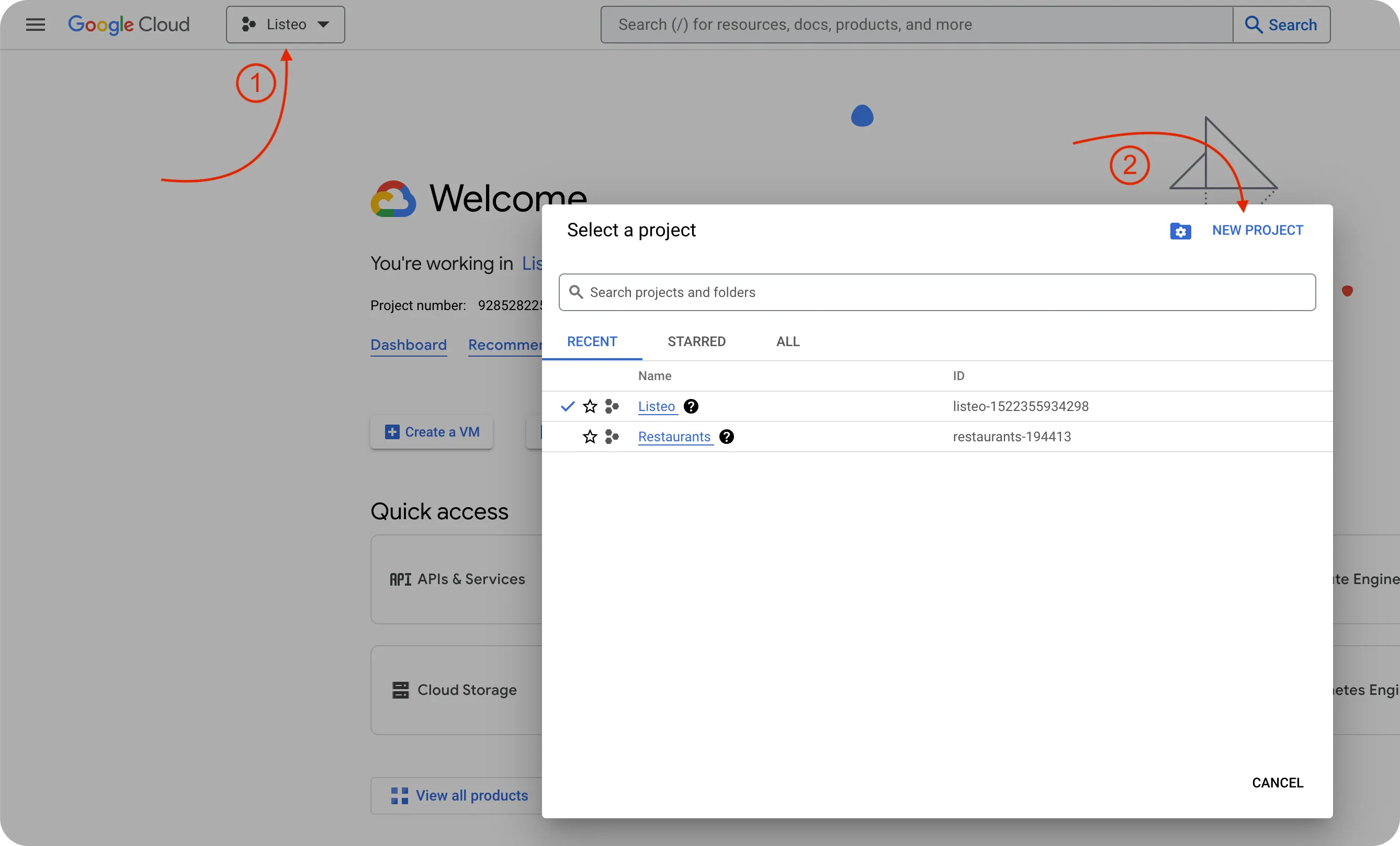 Google API Project List