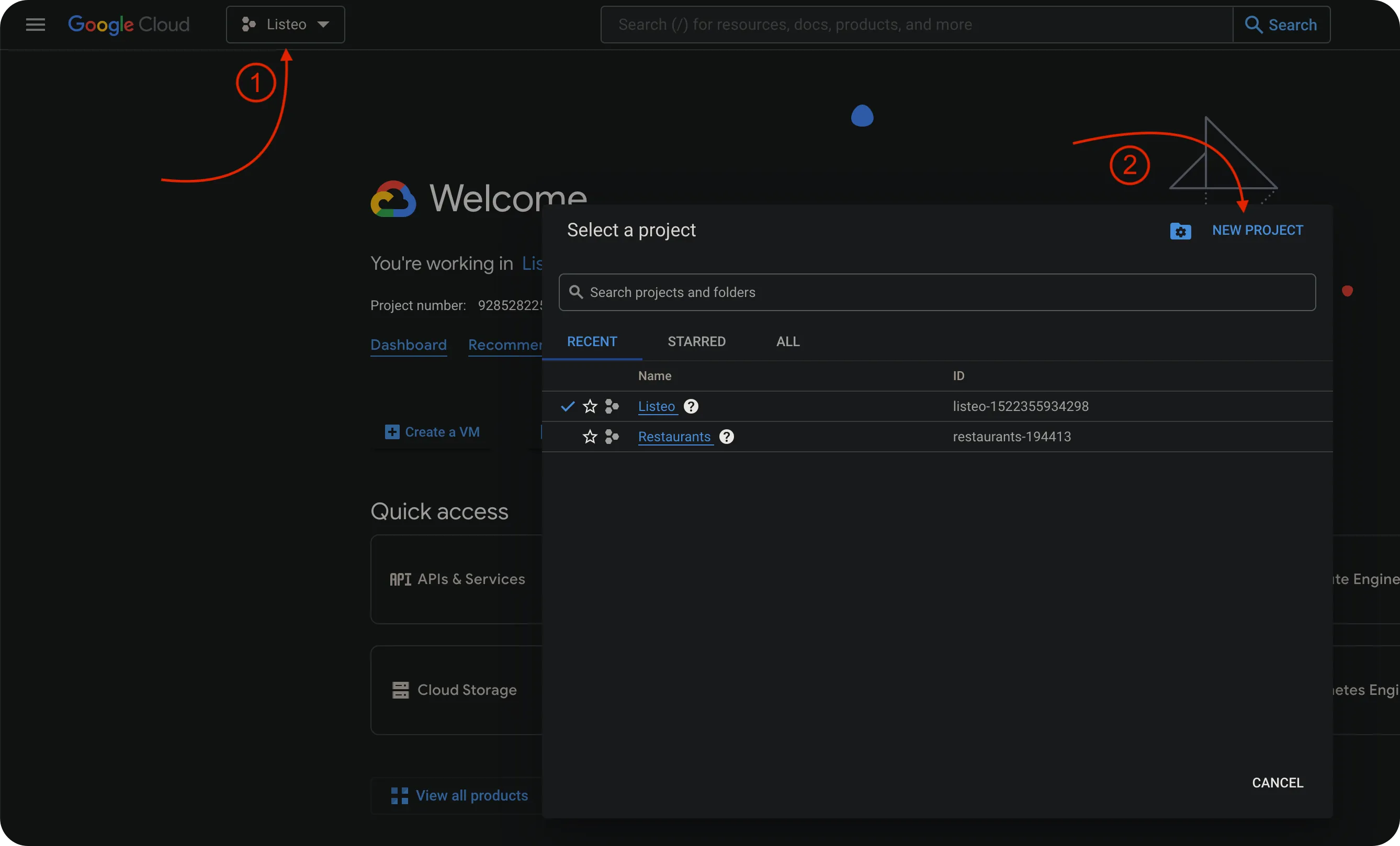 Google API Project List