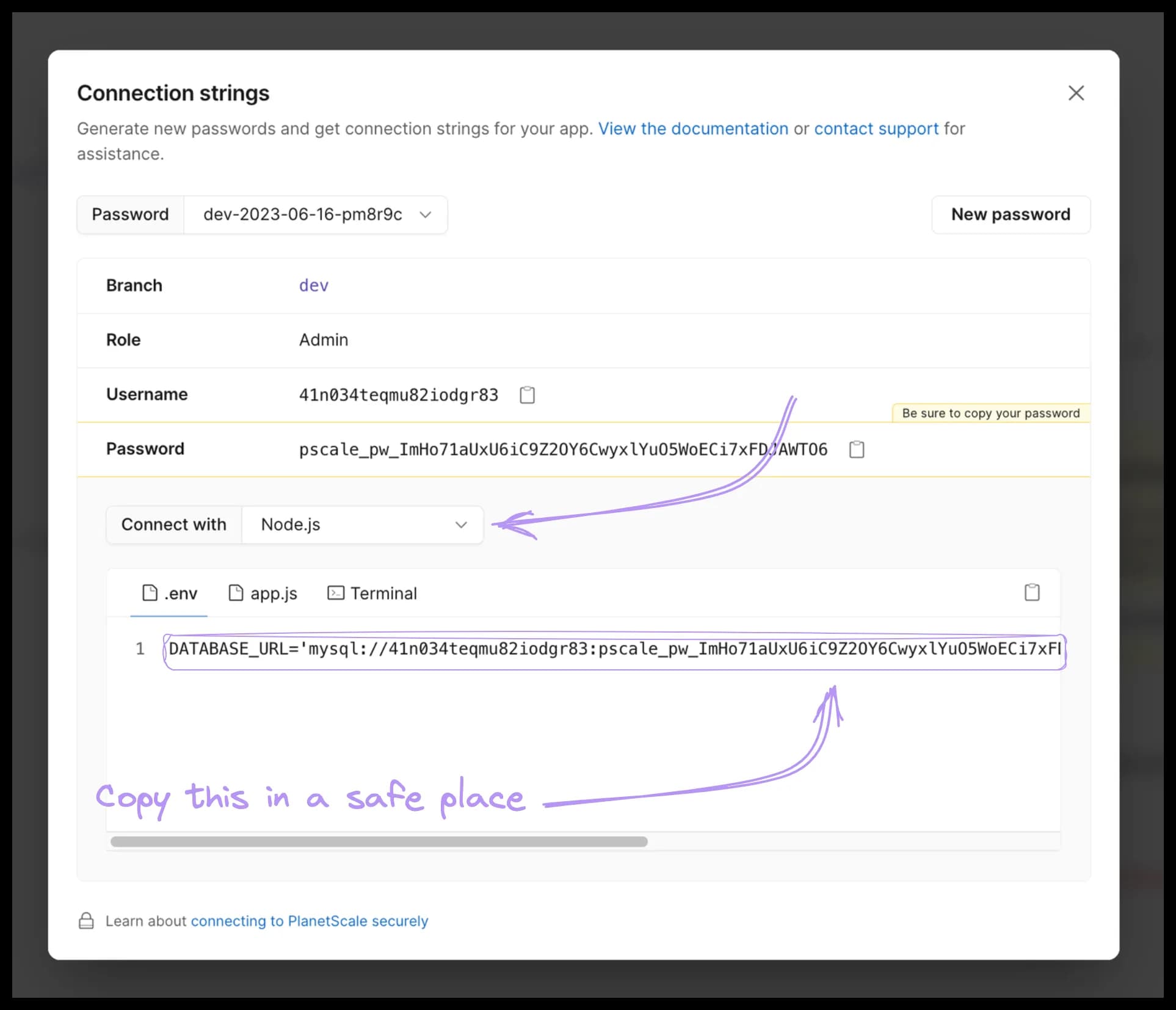 PlanetScale connection string