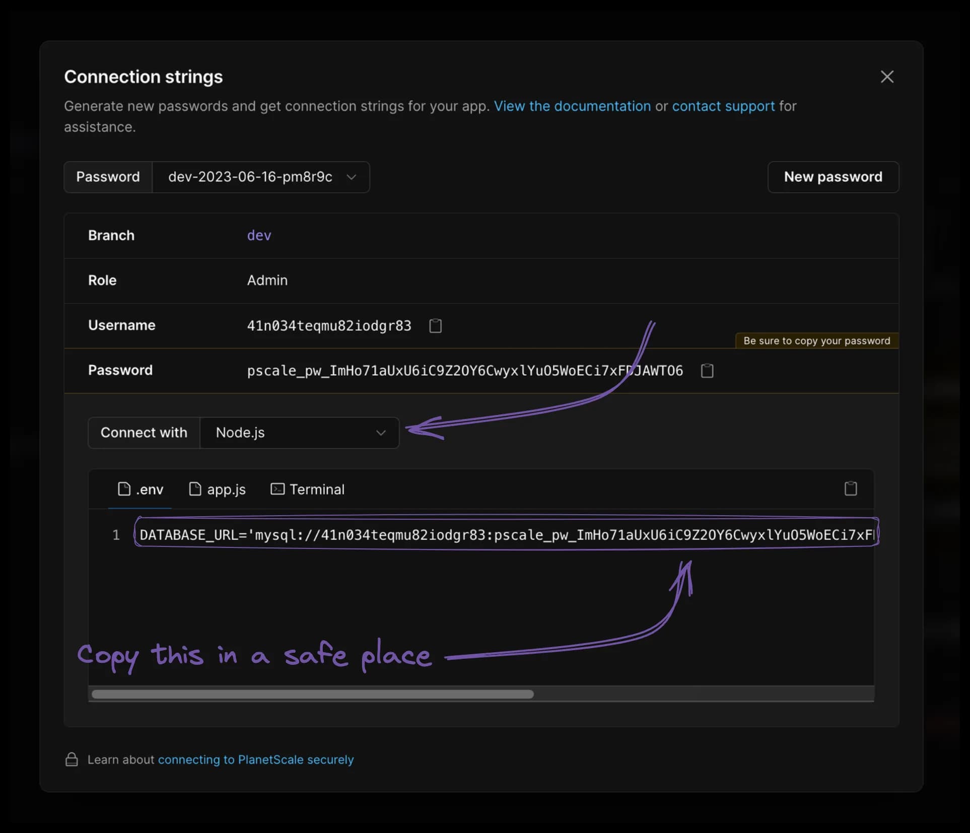 PlanetScale connection string