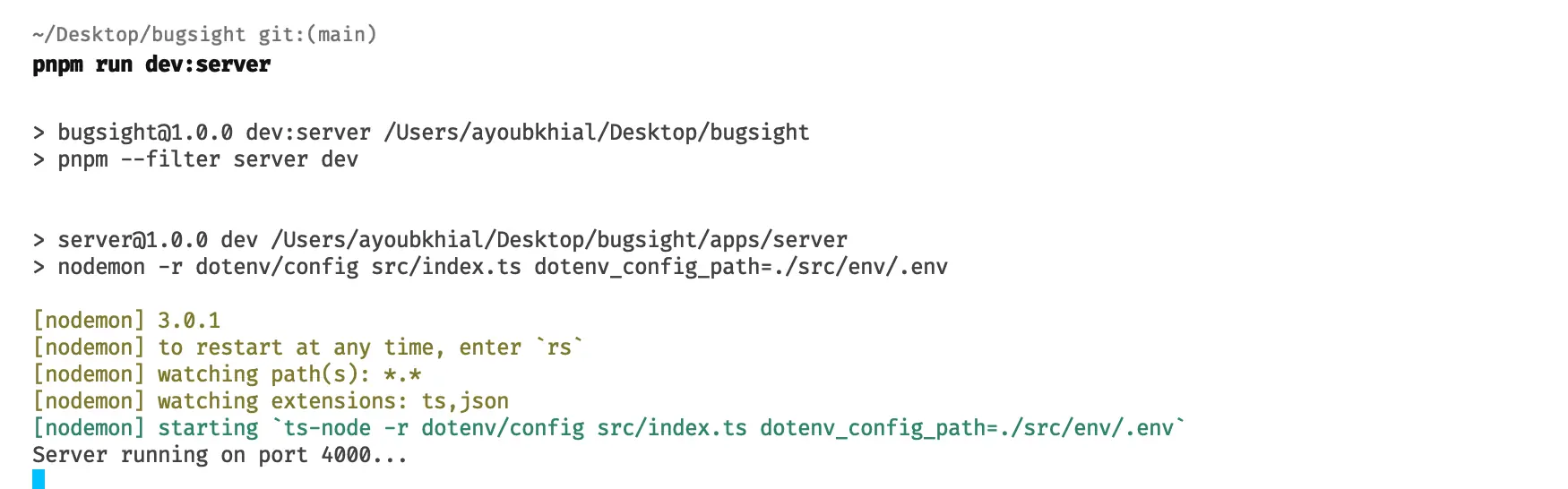 Running dev script on port 4000
