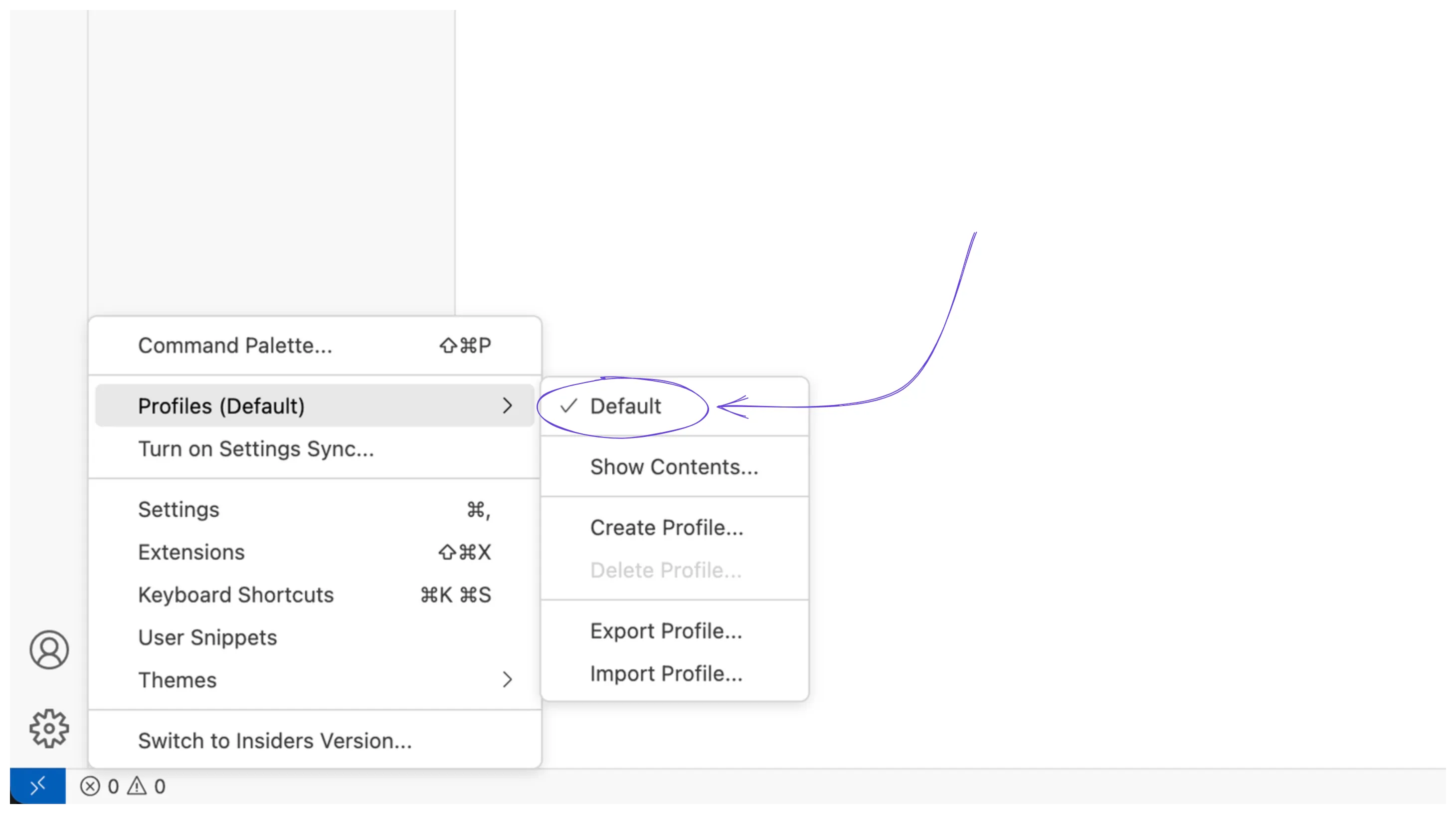 The default profile in VSCode